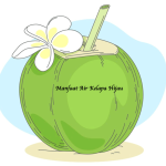 Manfaat Air Kelapa Hijau
