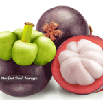 Manfaat Buah Manggis