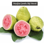 Manfaat Jambu Biji Merah