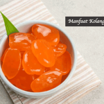 Manfaat Kolang-Kaling