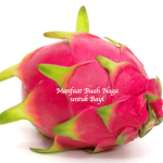 Manfaat Buah Naga untuk Bayi