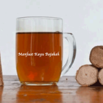 Manfaat Kayu Bajakah