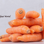 Manfaat Wortel