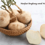 Manfaat Bengkoang untuk Wajah