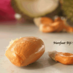 Manfaat Biji Durian