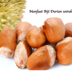 Manfaat Biji Durian untuk Pria