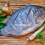 Manfaat Ikan Nila
