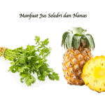 Manfaat Jus Seledri dan Nanas