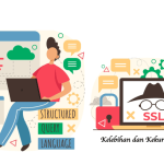 Kelebihan dan Kekurangan Plesk