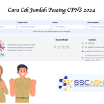 Cara Cek Pesaing CPNS 2024