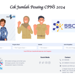 Cek Jumlah Pesaing CPNS 2024