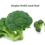 Manfaat Brokoli untuk Anak