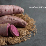 Manfaat Ubi Ungu