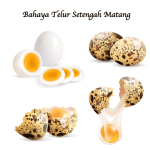 Bahaya Telur Setengah Matang