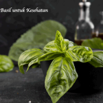 Manfaat Basil