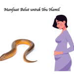 Manfaat Belut untuk Ibu Hamil