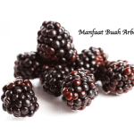 Manfaat Buah Arbei