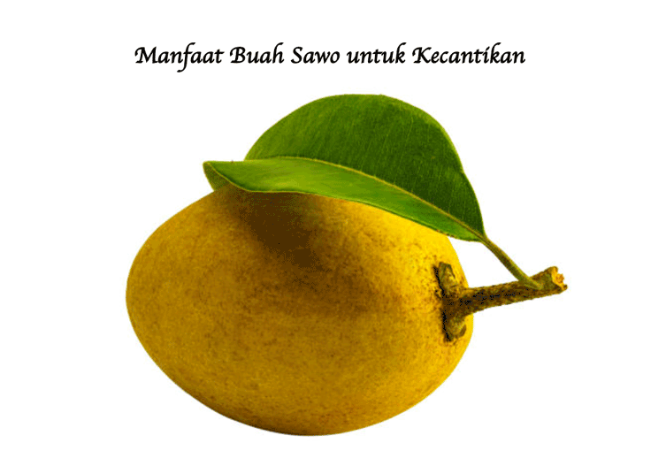 Manfaat Buah Sawo untuk Kecantikan