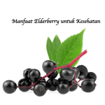 Manfaat Elderberry