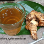 Manfaat Lengkuas untuk Kulit