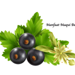 Manfaat Maqui Berry