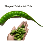 Manfaat Petai untuk Pria