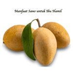Manfaat Sawo untuk Ibu Hamil