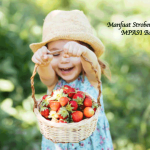 Manfaat Stroberi untuk MPASI Bayi