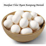 Manfaat Telur Ayam Kampung Mentah