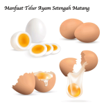 Manfaat Telur Ayam Setengah Matang
