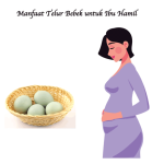 Manfaat Telur Bebek untuk Ibu Hamil