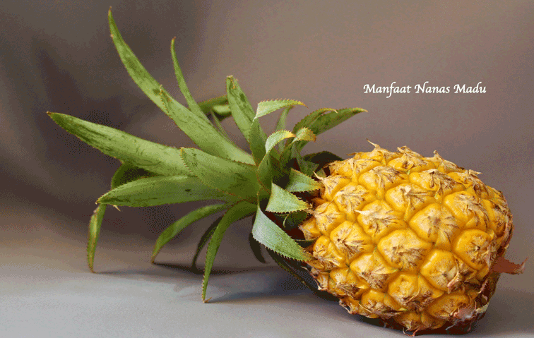 Nanas Madu