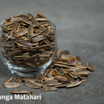 Biji Bunga Matahari