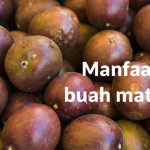Buah Matoa