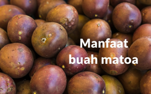 Buah Matoa