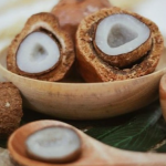 Buah Zuriat