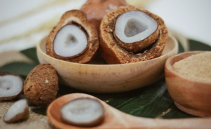 Buah Zuriat