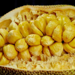Cempedak
