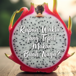 Kapan Waktu yang Tepat Makan Buah Naga