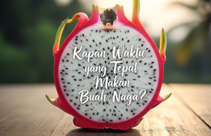 Kapan Waktu yang Tepat Makan Buah Naga