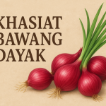 Khasiat Bawang Dayak
