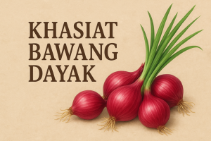 Khasiat Bawang Dayak