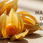 Manfaat Daun Ciplukan