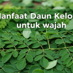 Manfaat Daun Kelor untuk Wajah
