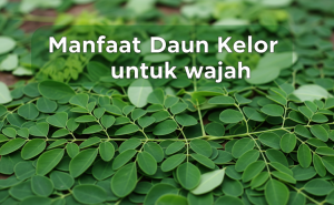 Manfaat Daun Kelor untuk Wajah