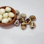Manfaat Telur Puyuh