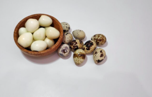 Manfaat Telur Puyuh
