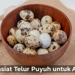 Manfaat Telur Puyuh untuk Anak