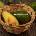 Alpukat Mentega