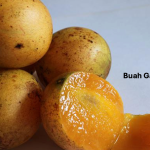 Buah Gandaria